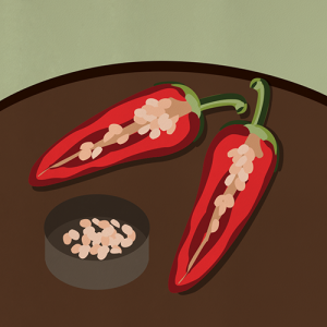 Illustration du choix des semences