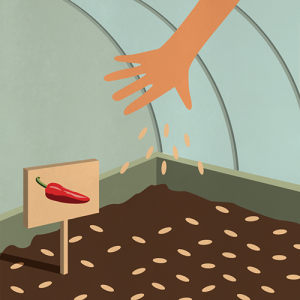 Illustration du semis de graines