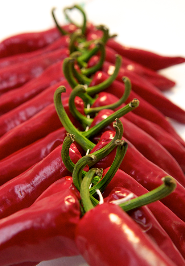 Gros plan sur une corde de Piments d'Espelette