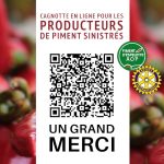 Cagnotte en ligne pour les producteurs de piment d’Espelette sinistrés